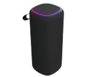 Speaker